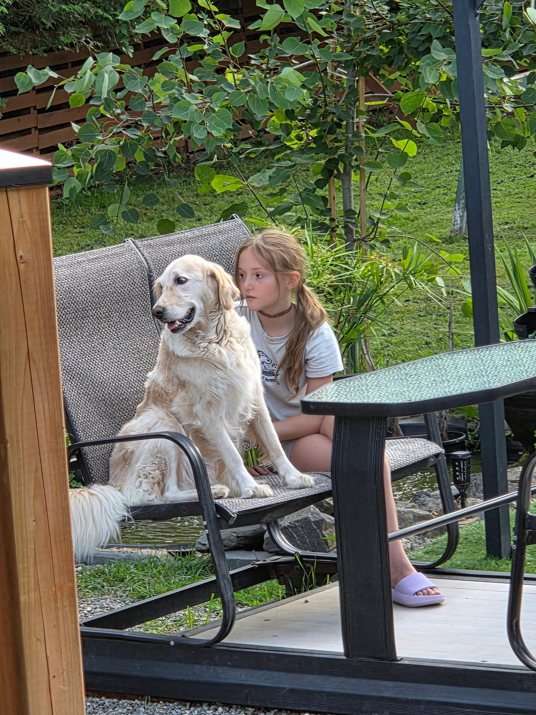 Grandir avec un chien ,un impact pour toute la vie