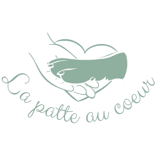 Pourquoi j’ai créé La Patte au Cœur