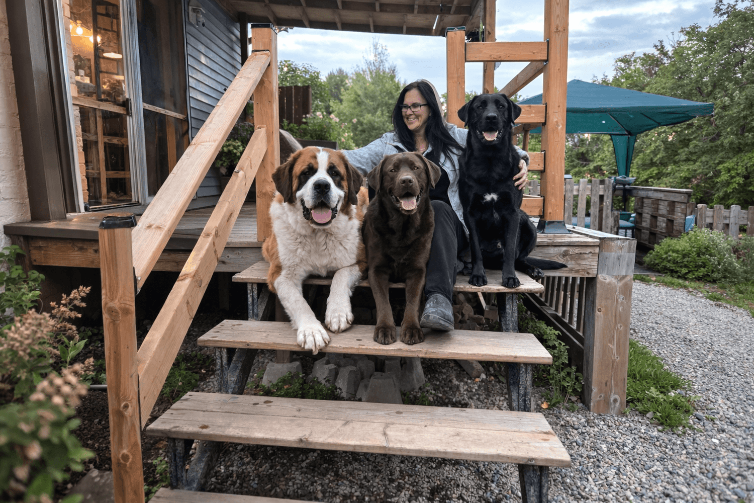 maitre et ses chiens